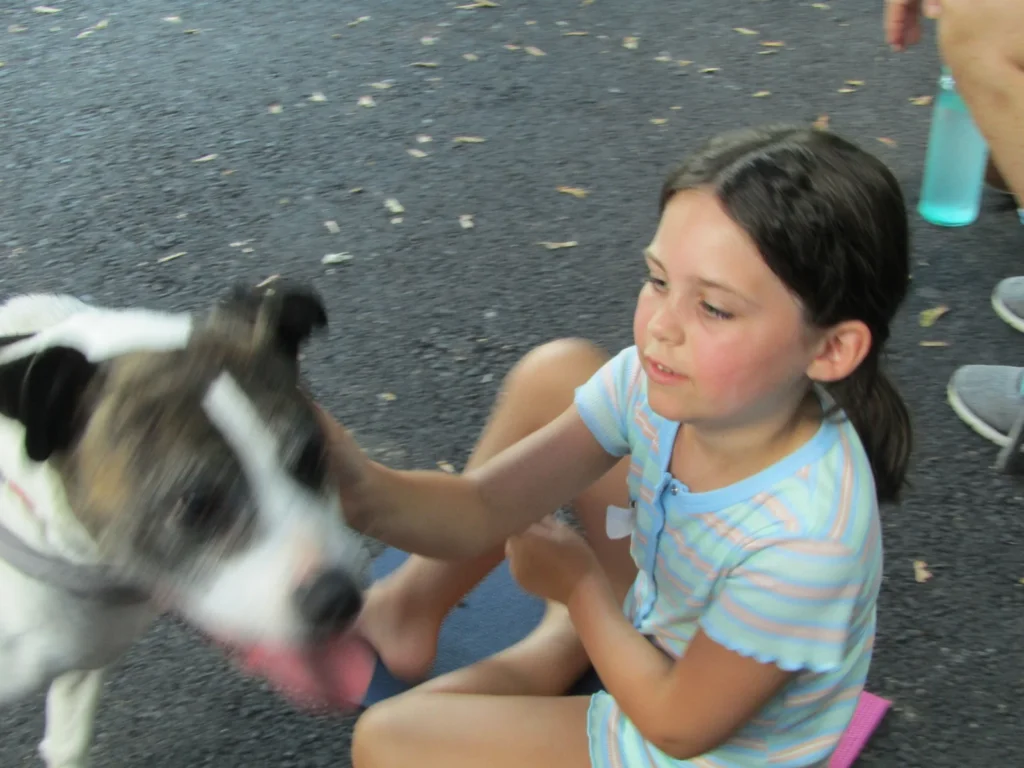 A young camper gently petting a visiting therapy dog at a Hands Holding Hearts program