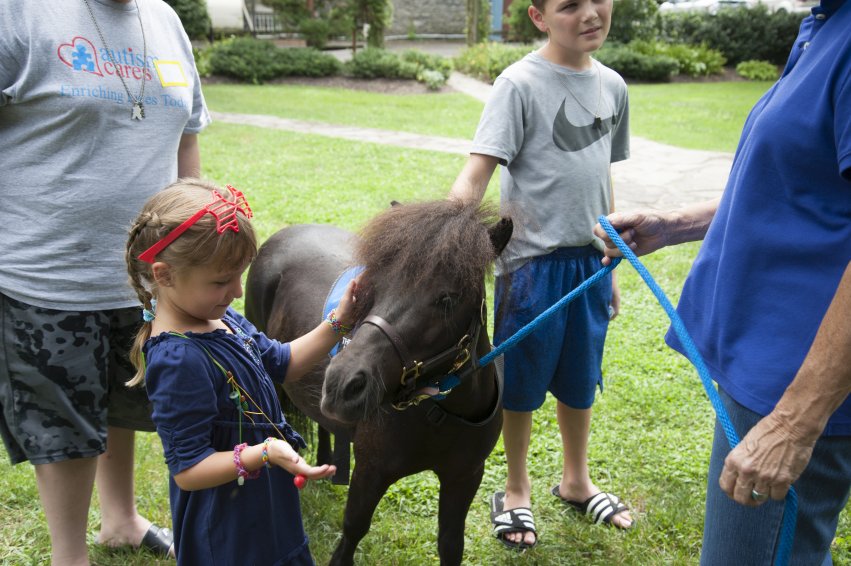 Young girl petting a pony
