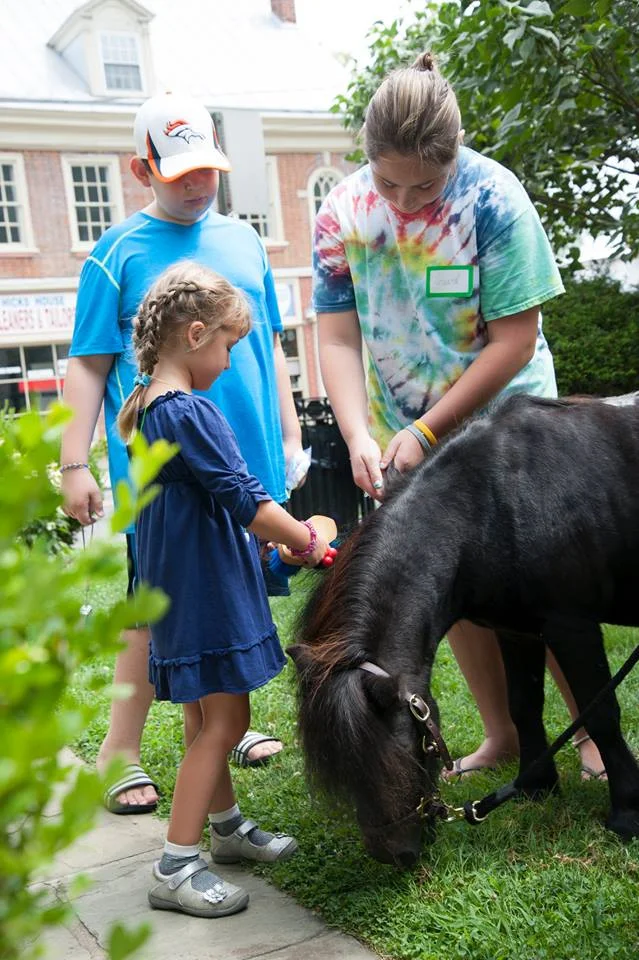 Children meeting a pony during a camp activity